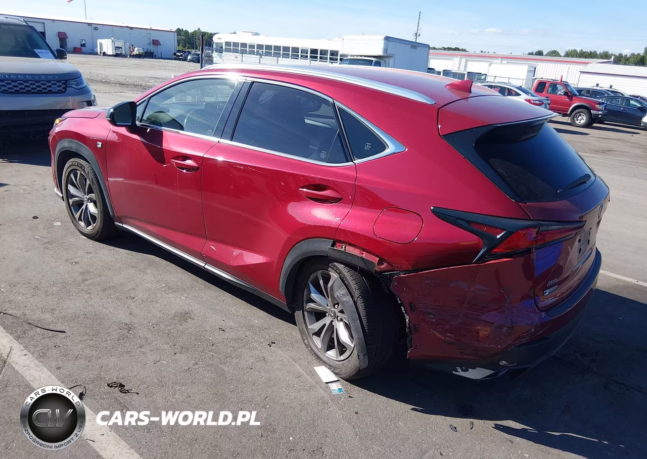 2019 Lexus Nx 300 F Sport VIN:JTJYARBZ2K2138000 - 3