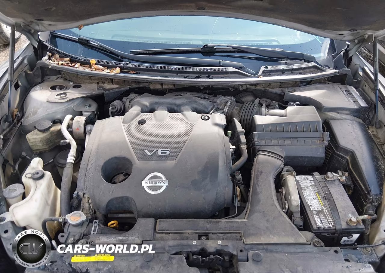 2009 Nissan Maxima 3.5 Sv VIN:1N4AA51E89C809708 - 10