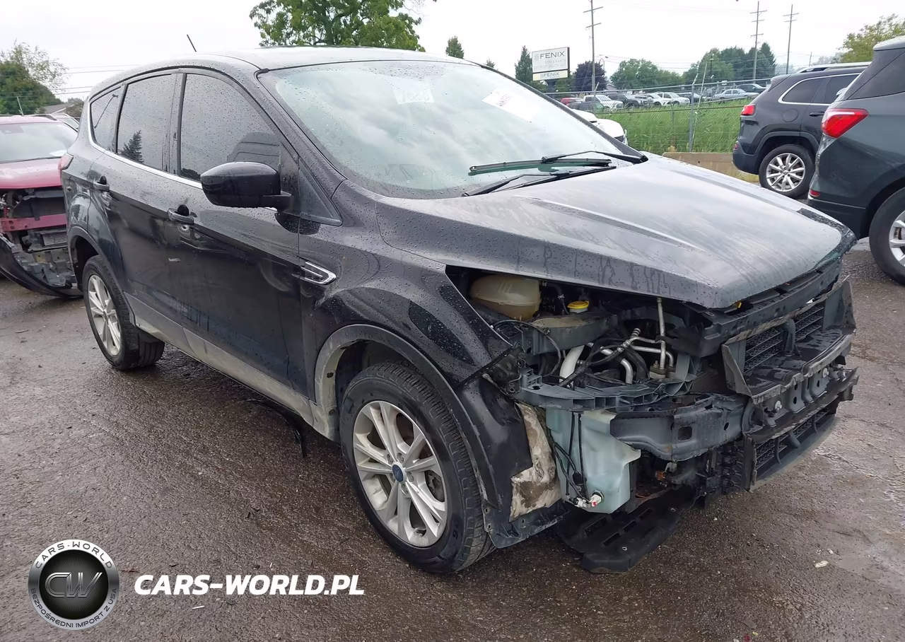2019 Ford Escape Se