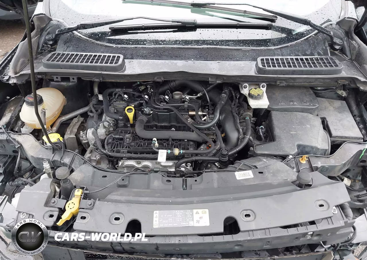 2019 Ford Escape Se VIN:1FMCU9GD1KUA45826 - 10