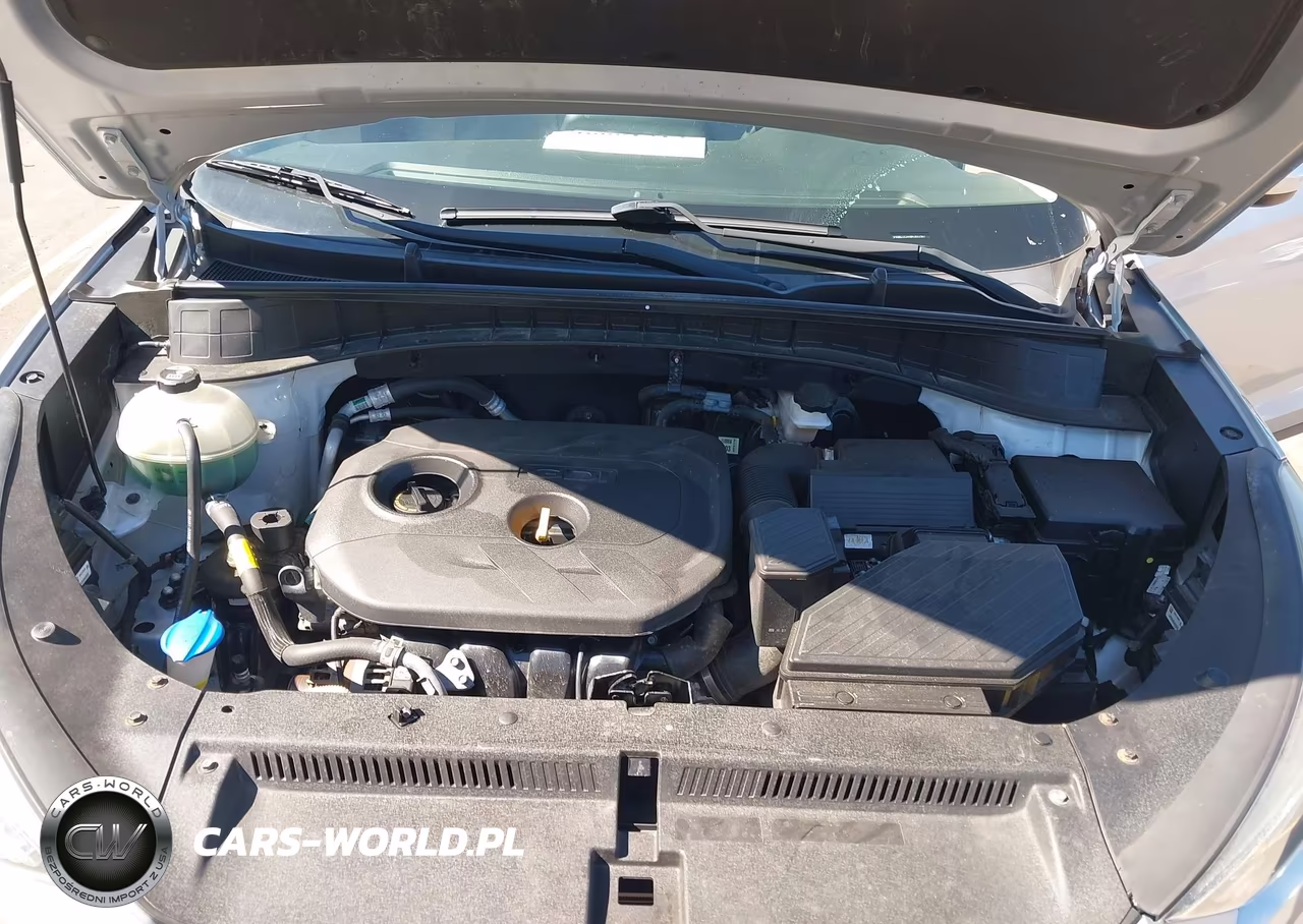 2019 Hyundai Tucson Se VIN:KM8J2CA48KU892507 - 10