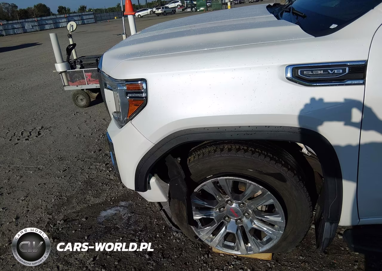 2021 GMC Sierra 1500 Denali VIN:1GTU9FED2MZ248452 - 19