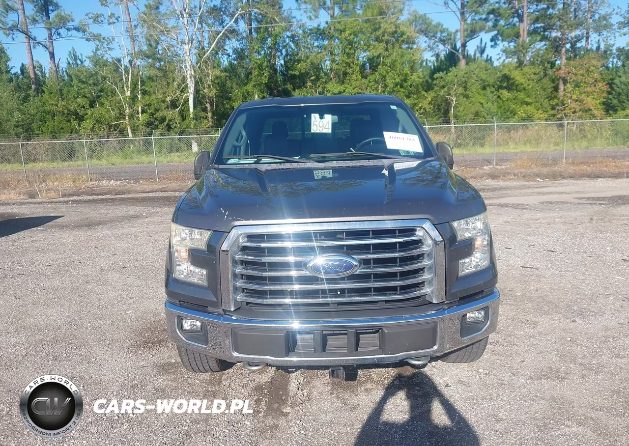2015 Ford F-150 Xlt VIN:1FTEW1EG6FKF11306 - 12