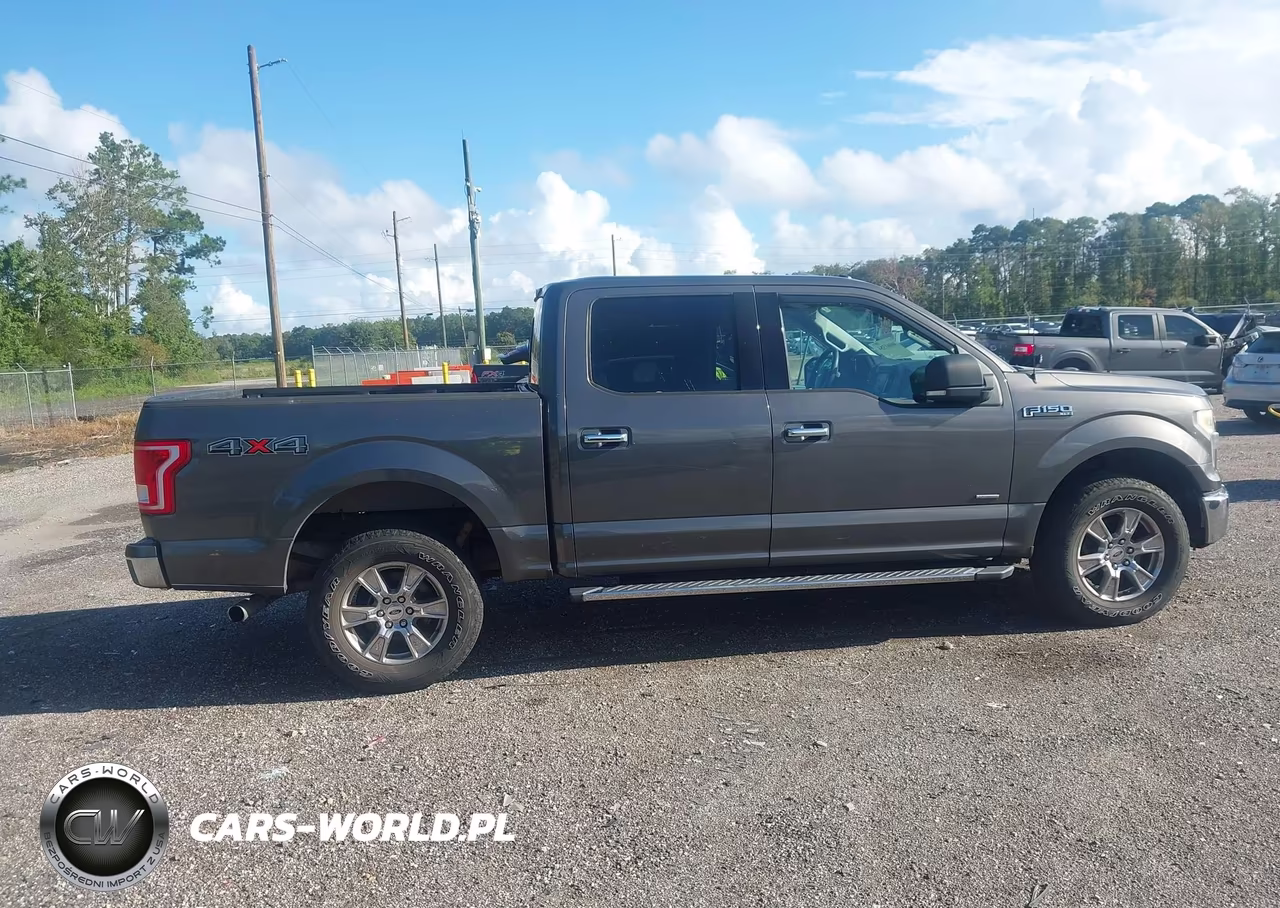 2015 Ford F-150 Xlt VIN:1FTEW1EG6FKF11306 - 13