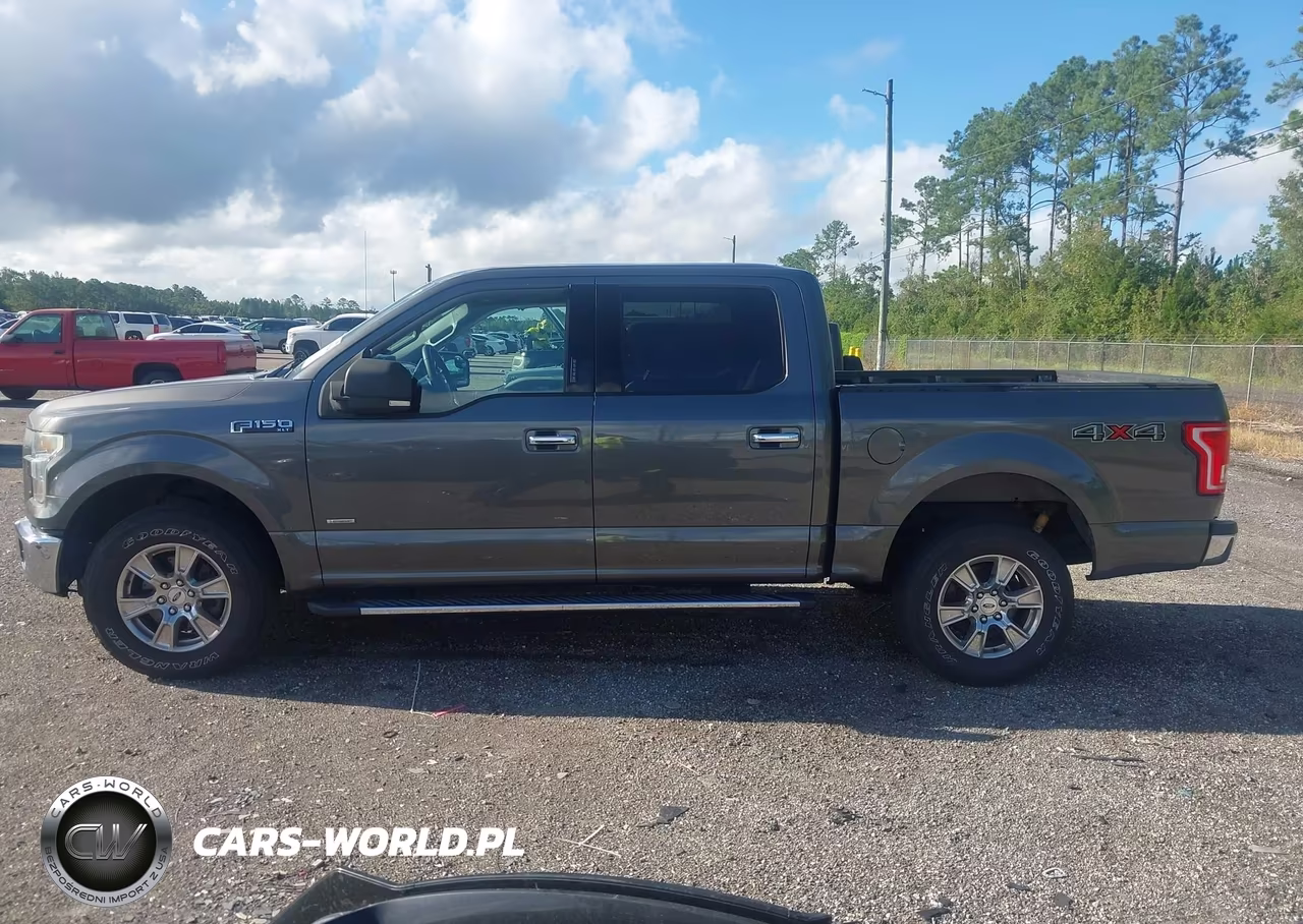 2015 Ford F-150 Xlt VIN:1FTEW1EG6FKF11306 - 14