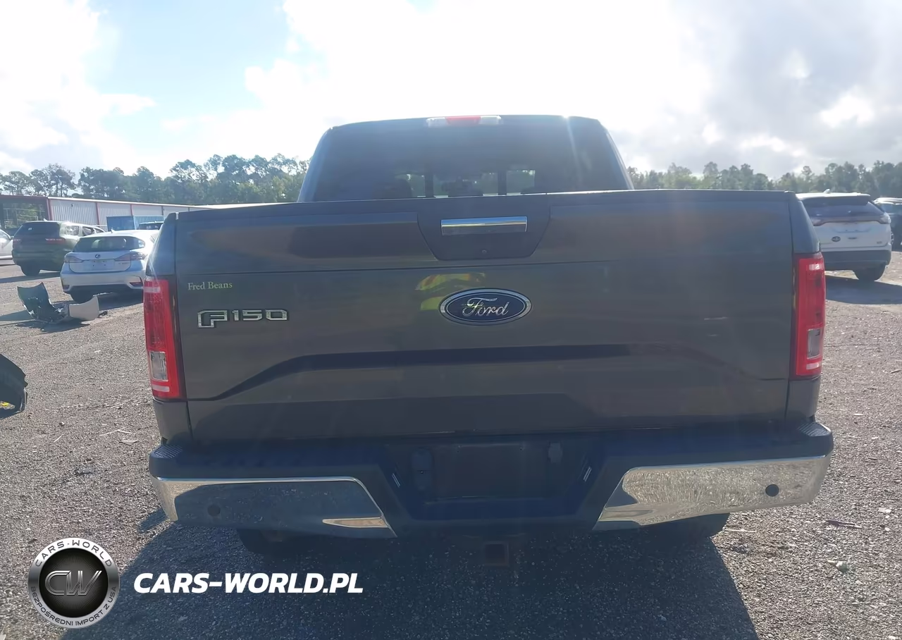 2015 Ford F-150 Xlt VIN:1FTEW1EG6FKF11306 - 16