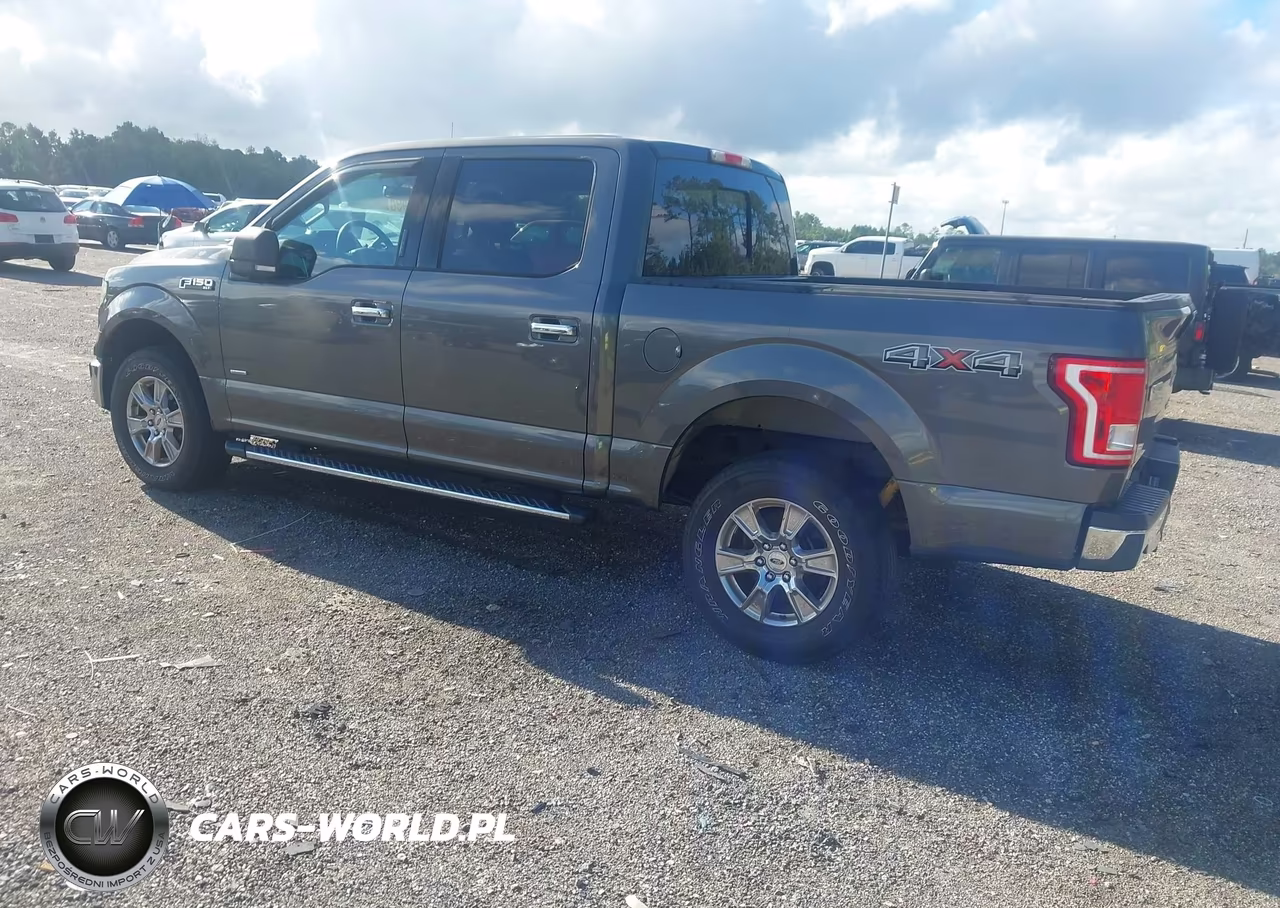 2015 Ford F-150 Xlt VIN:1FTEW1EG6FKF11306 - 3
