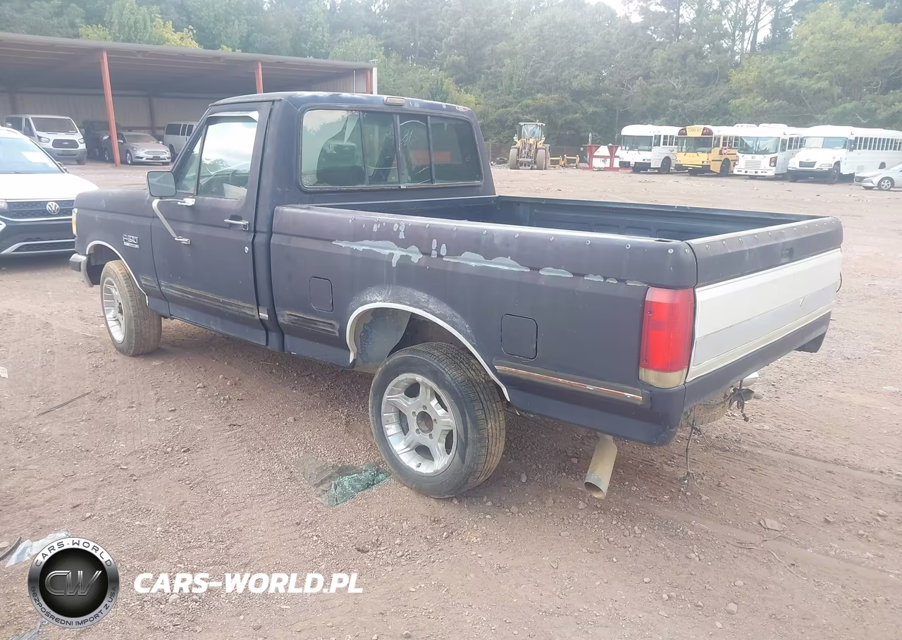 1989 Ford F150 VIN:1FTDF15Y9KLA49770 - 3