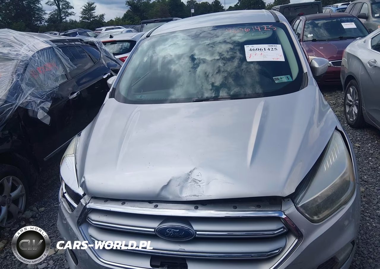 2017 Ford Escape Se VIN:1FMCU9G91HUA78877 - 12
