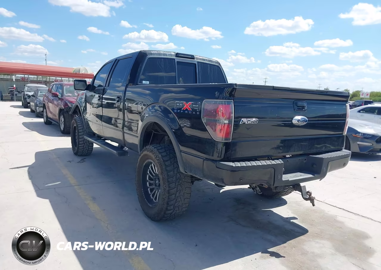 2011 Ford F-150 Fx4 VIN:1FTFW1ET3BKD75213 - 3