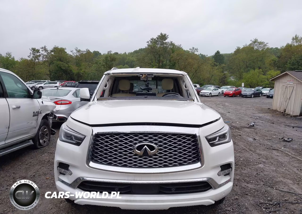 2024 Infiniti Qx80 Luxe Awd VIN:JN8AZ2AE7R9331008 - 6