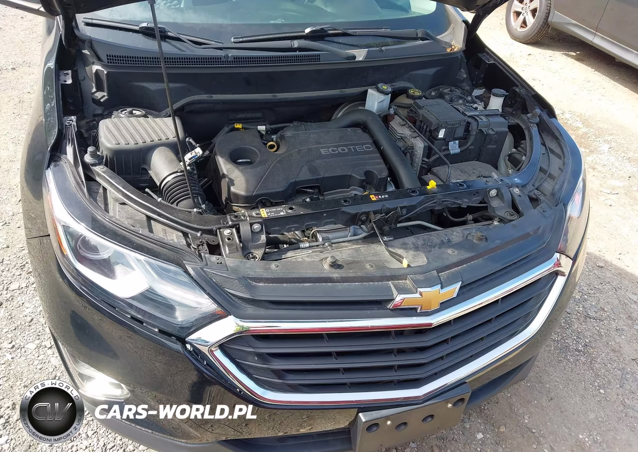 2019 Chevrolet Equinox Ls VIN:3GNAXSEV9KL131182 - 10
