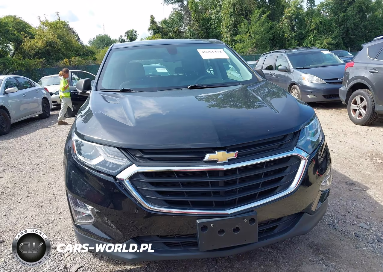 2019 Chevrolet Equinox Ls VIN:3GNAXSEV9KL131182 - 12