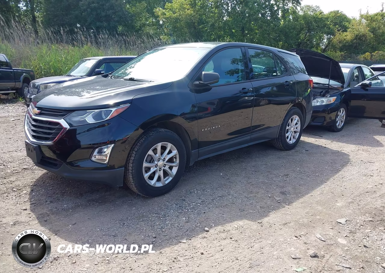 2019 Chevrolet Equinox Ls VIN:3GNAXSEV9KL131182 - 2