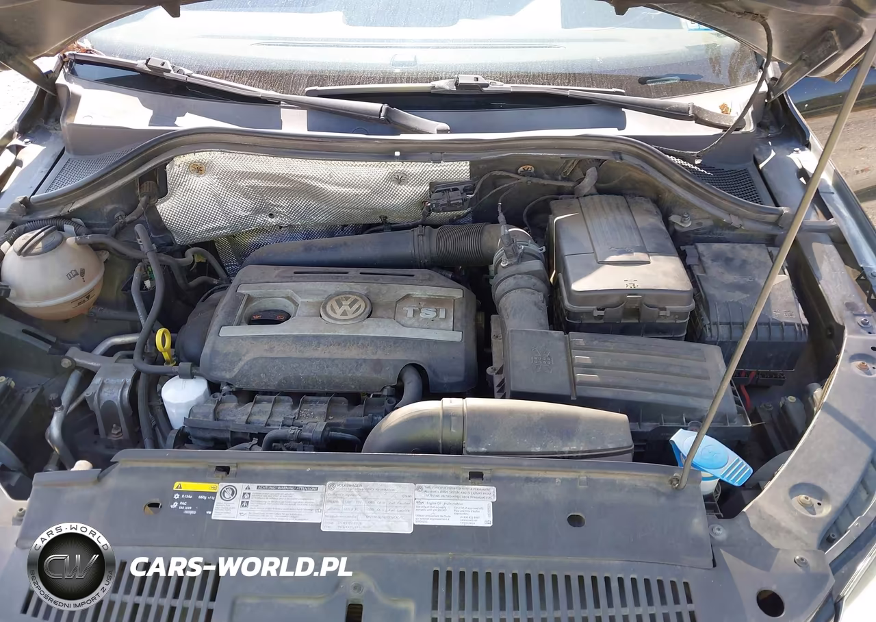 2013 Volkswagen Tiguan S VIN:WVGBV3AX5DW618453 - 10