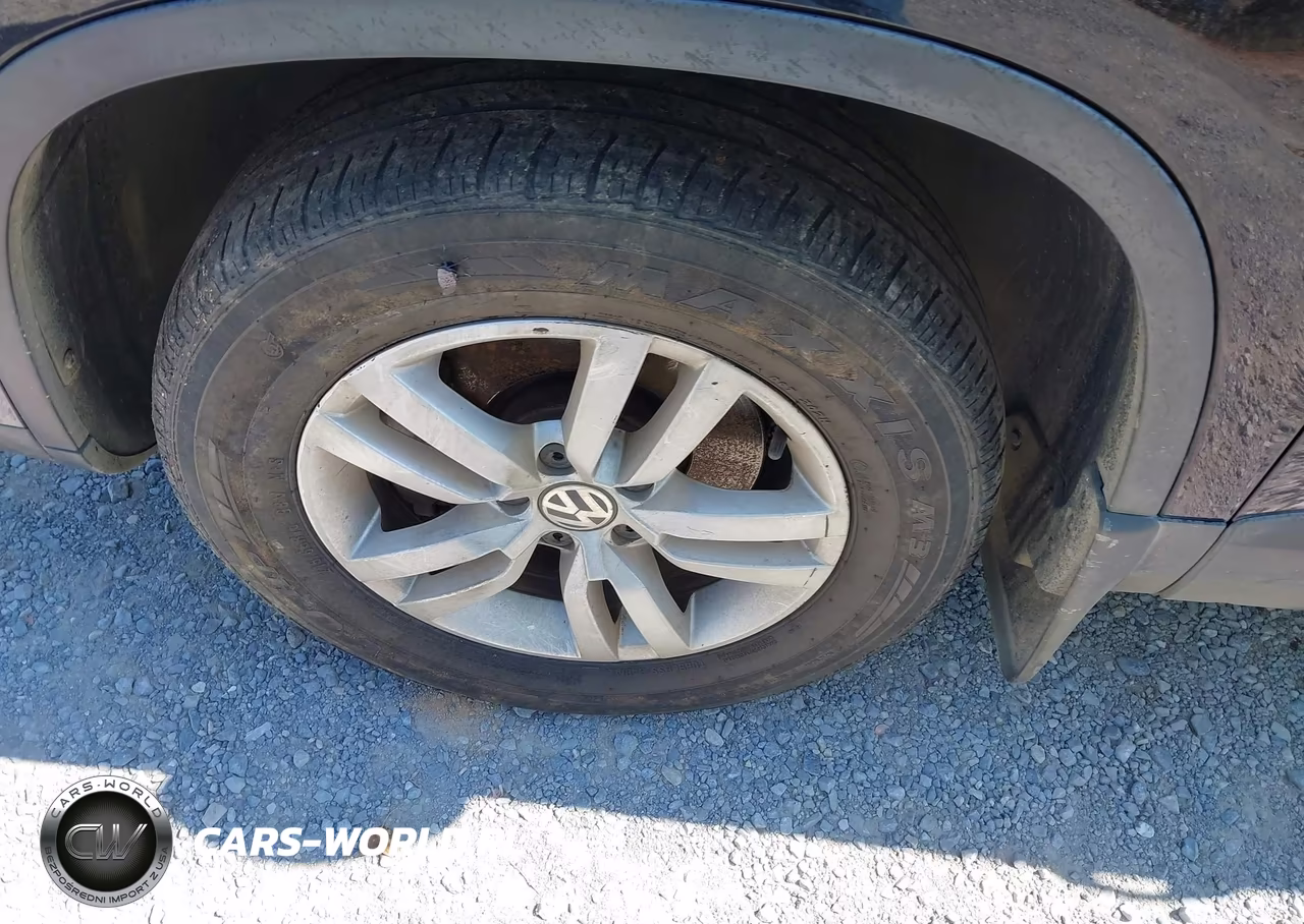 2013 Volkswagen Tiguan S VIN:WVGBV3AX5DW618453 - 12