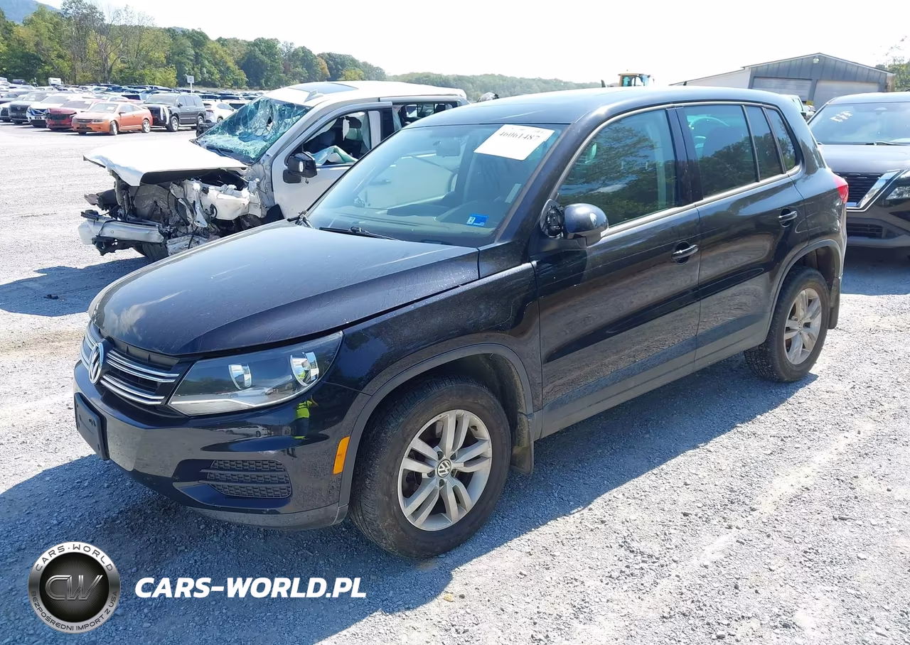2013 Volkswagen Tiguan S VIN:WVGBV3AX5DW618453 - 2