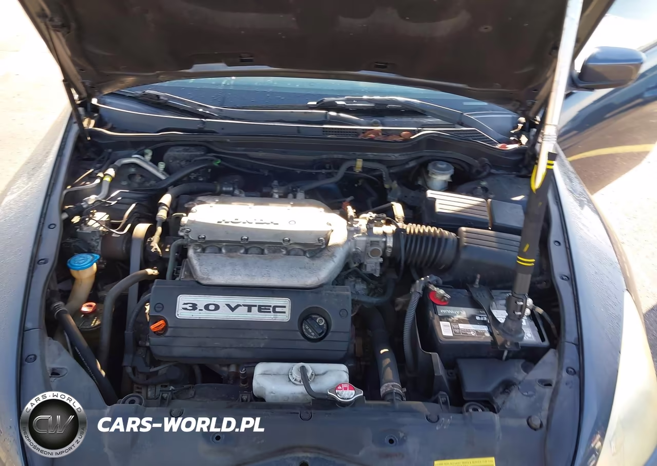 2007 Honda Accord 3.0 Ex VIN:1HGCM82667A003556 - 10