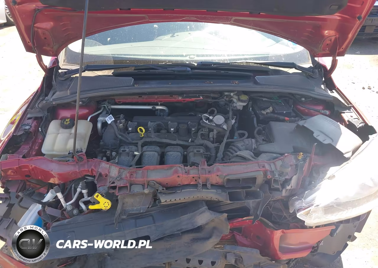 2016 Ford Focus Se VIN:1FADP3K22GL335613 - 10