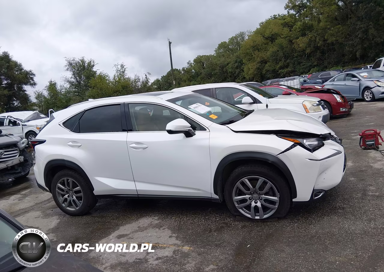 2015 Lexus Nx 200T VIN:JTJBARBZ4F2027671 - 13