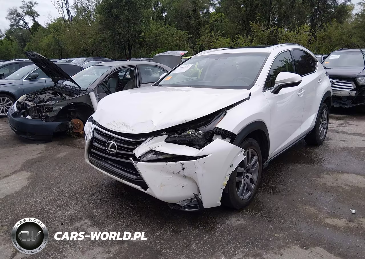 2015 Lexus Nx 200T VIN:JTJBARBZ4F2027671 - 17
