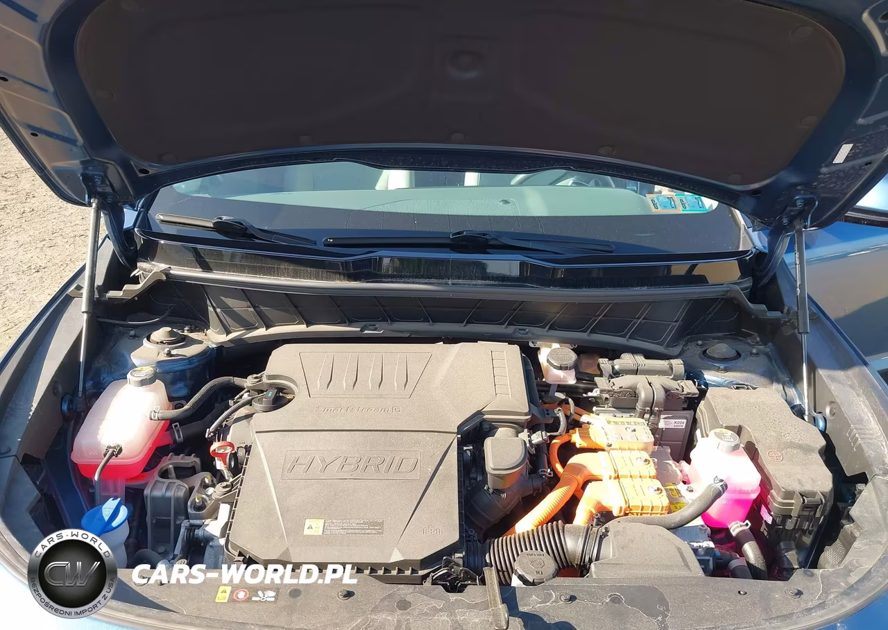 2023 Kia Niro Ex Touring VIN:KNDCR3LEXP5091951 - 10