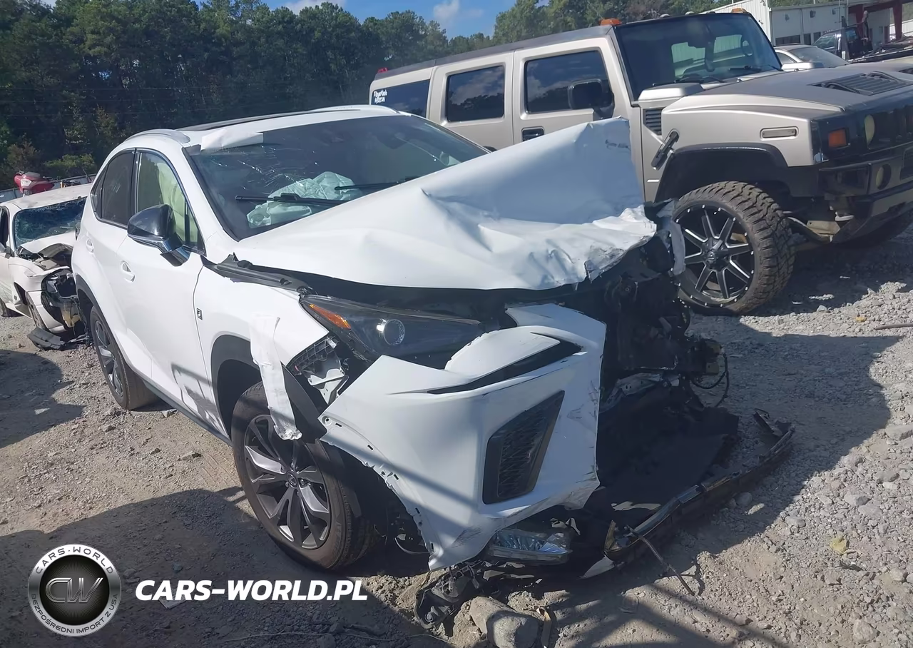 2020 Lexus Nx 300 F Sport