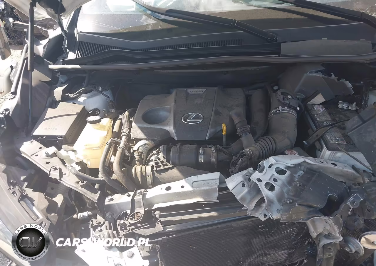 2020 Lexus Nx 300 F Sport VIN:JTJSARBZ2L5013875 - 10