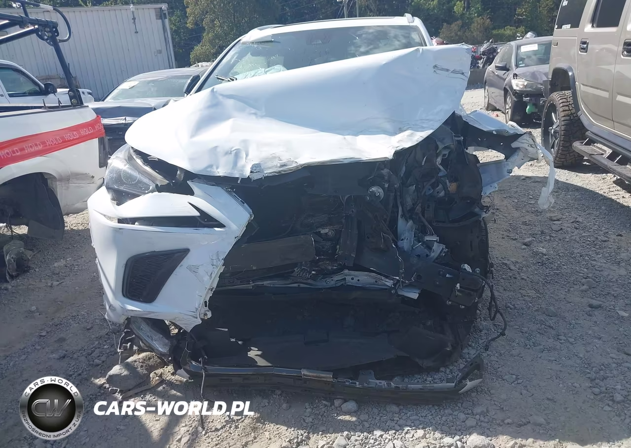 2020 Lexus Nx 300 F Sport VIN:JTJSARBZ2L5013875 - 12