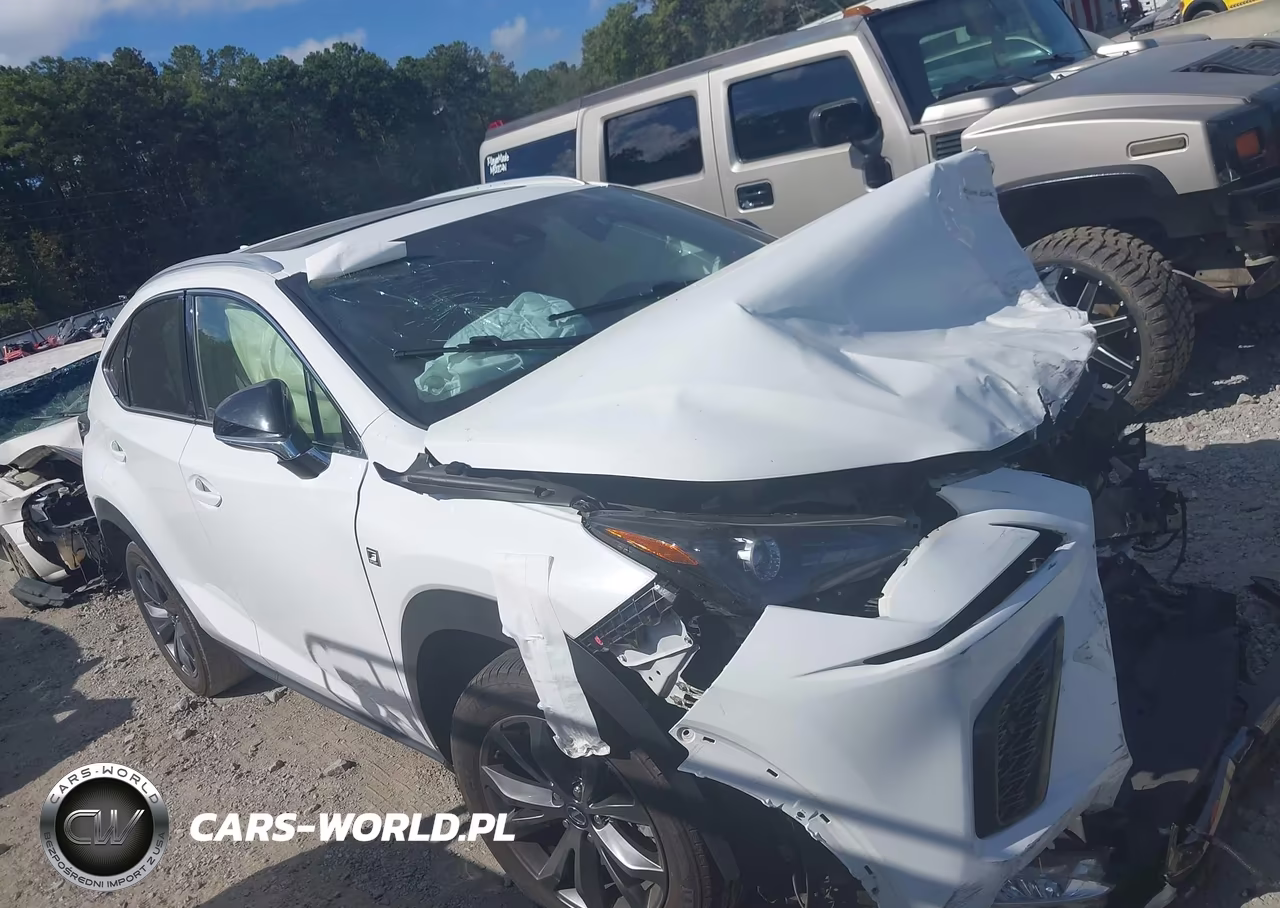 2020 Lexus Nx 300 F Sport VIN:JTJSARBZ2L5013875 - 13