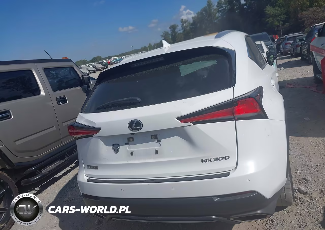 2020 Lexus Nx 300 F Sport VIN:JTJSARBZ2L5013875 - 16