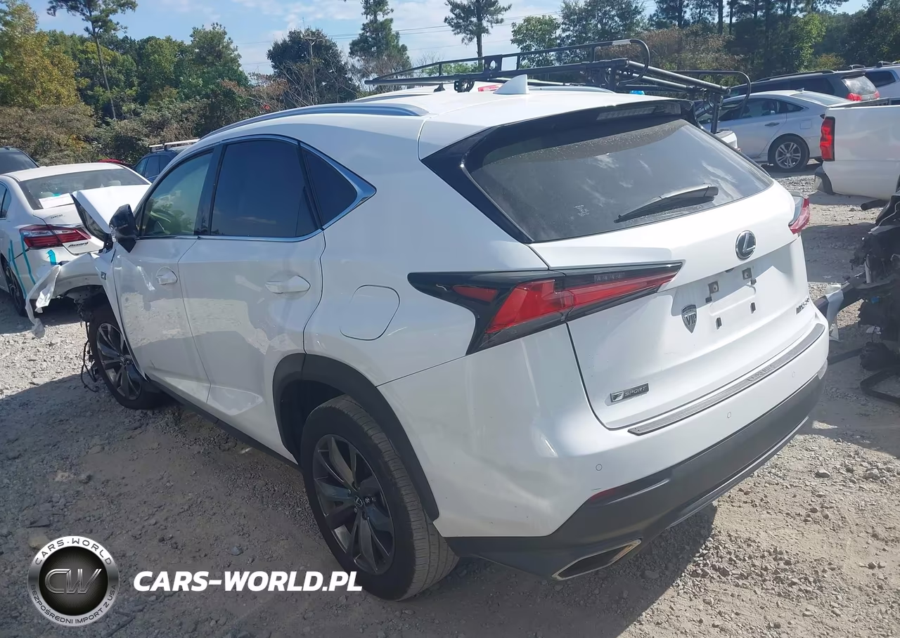 2020 Lexus Nx 300 F Sport VIN:JTJSARBZ2L5013875 - 3