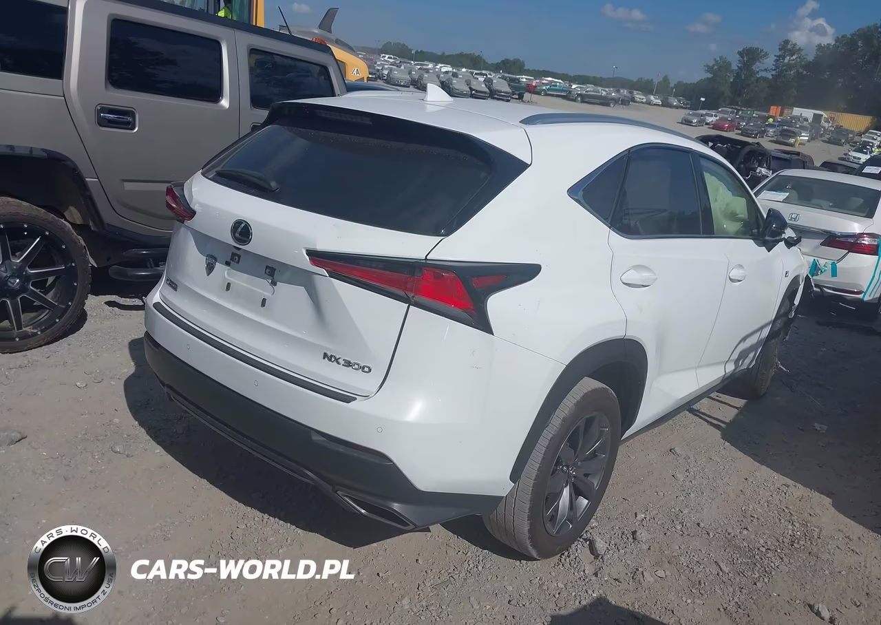 2020 Lexus Nx 300 F Sport VIN:JTJSARBZ2L5013875 - 4