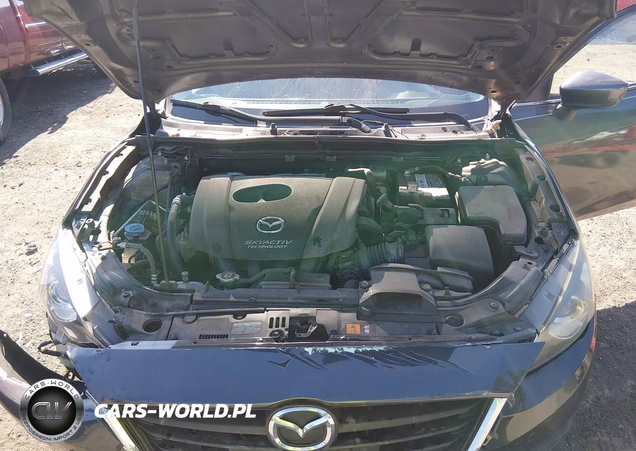 2016 Mazda Mazda3 I Sport VIN:JM1BM1K74G1302781 - 10