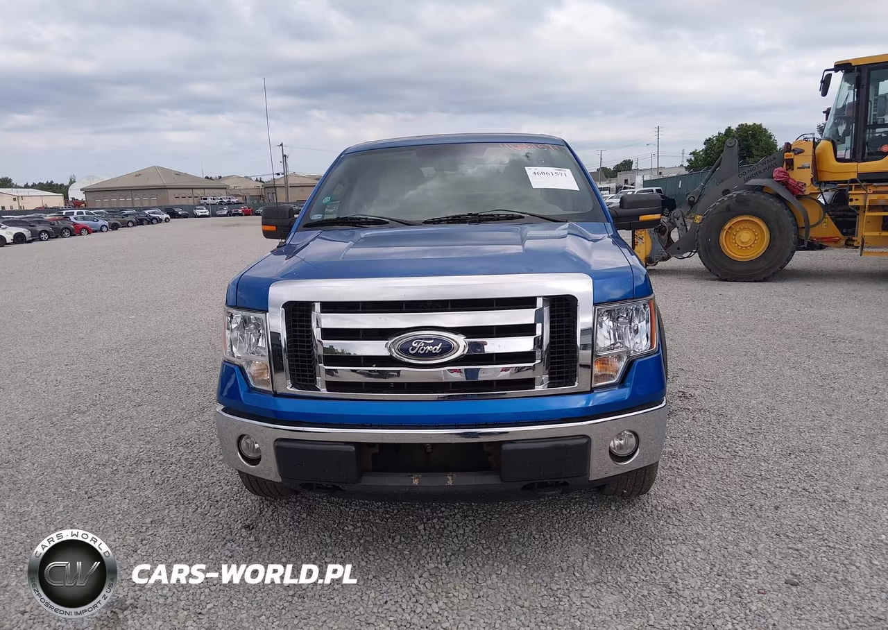 2010 Ford F-150 Fx4-Harley-Davidson-King Ranch-Lariat-Platinum-Xl-Xlt VIN:1FTFW1EVXAKB25449 - 12