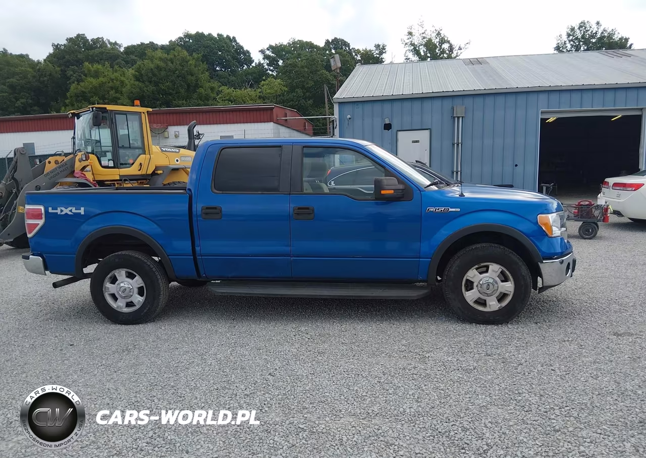 2010 Ford F-150 Fx4-Harley-Davidson-King Ranch-Lariat-Platinum-Xl-Xlt VIN:1FTFW1EVXAKB25449 - 13