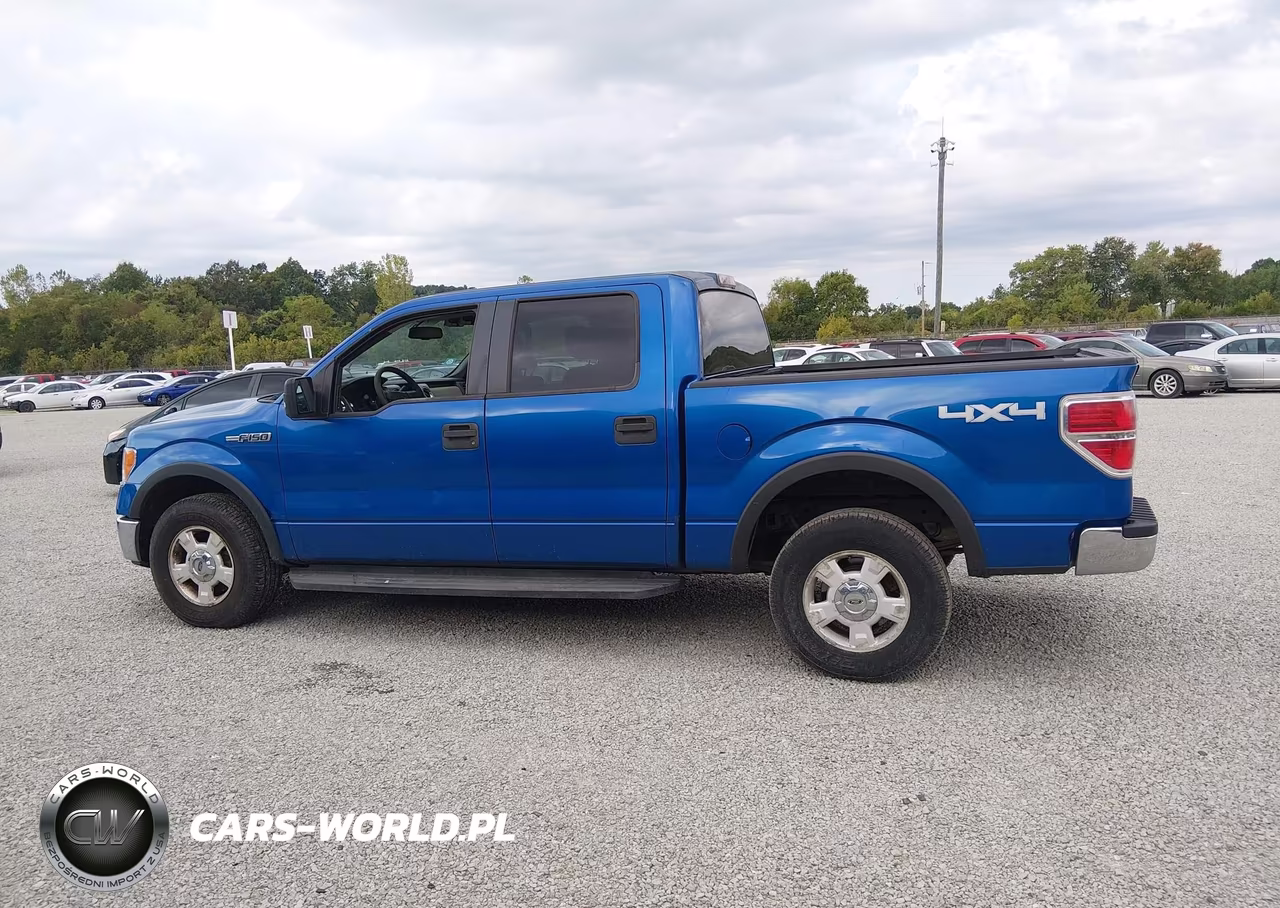 2010 Ford F-150 Fx4-Harley-Davidson-King Ranch-Lariat-Platinum-Xl-Xlt VIN:1FTFW1EVXAKB25449 - 14