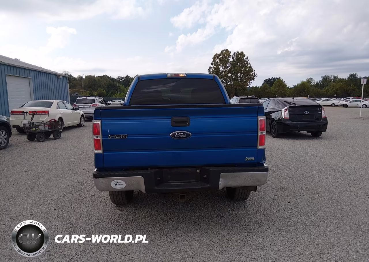 2010 Ford F-150 Fx4-Harley-Davidson-King Ranch-Lariat-Platinum-Xl-Xlt VIN:1FTFW1EVXAKB25449 - 16
