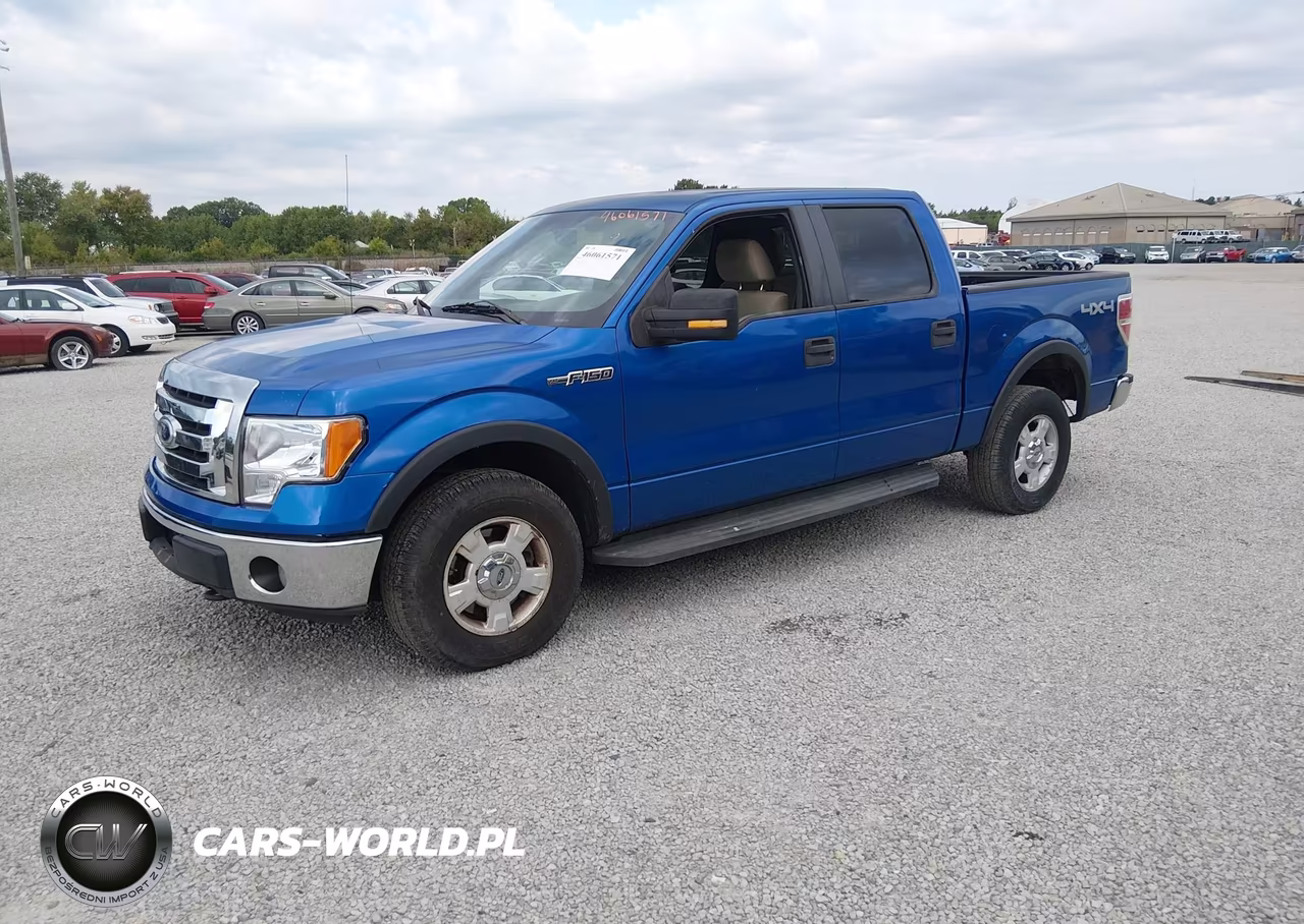 2010 Ford F-150 Fx4-Harley-Davidson-King Ranch-Lariat-Platinum-Xl-Xlt VIN:1FTFW1EVXAKB25449 - 2