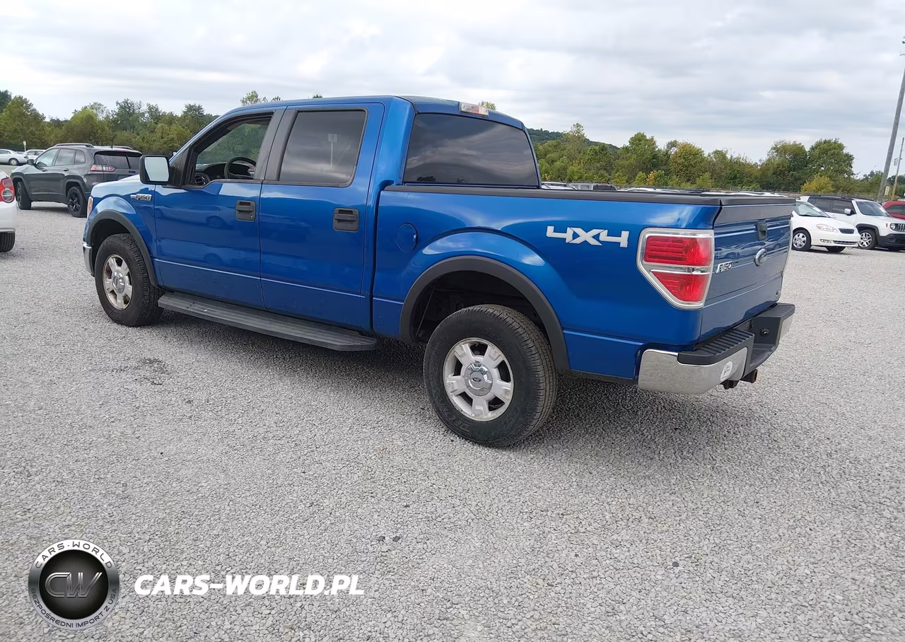 2010 Ford F-150 Fx4-Harley-Davidson-King Ranch-Lariat-Platinum-Xl-Xlt VIN:1FTFW1EVXAKB25449 - 3