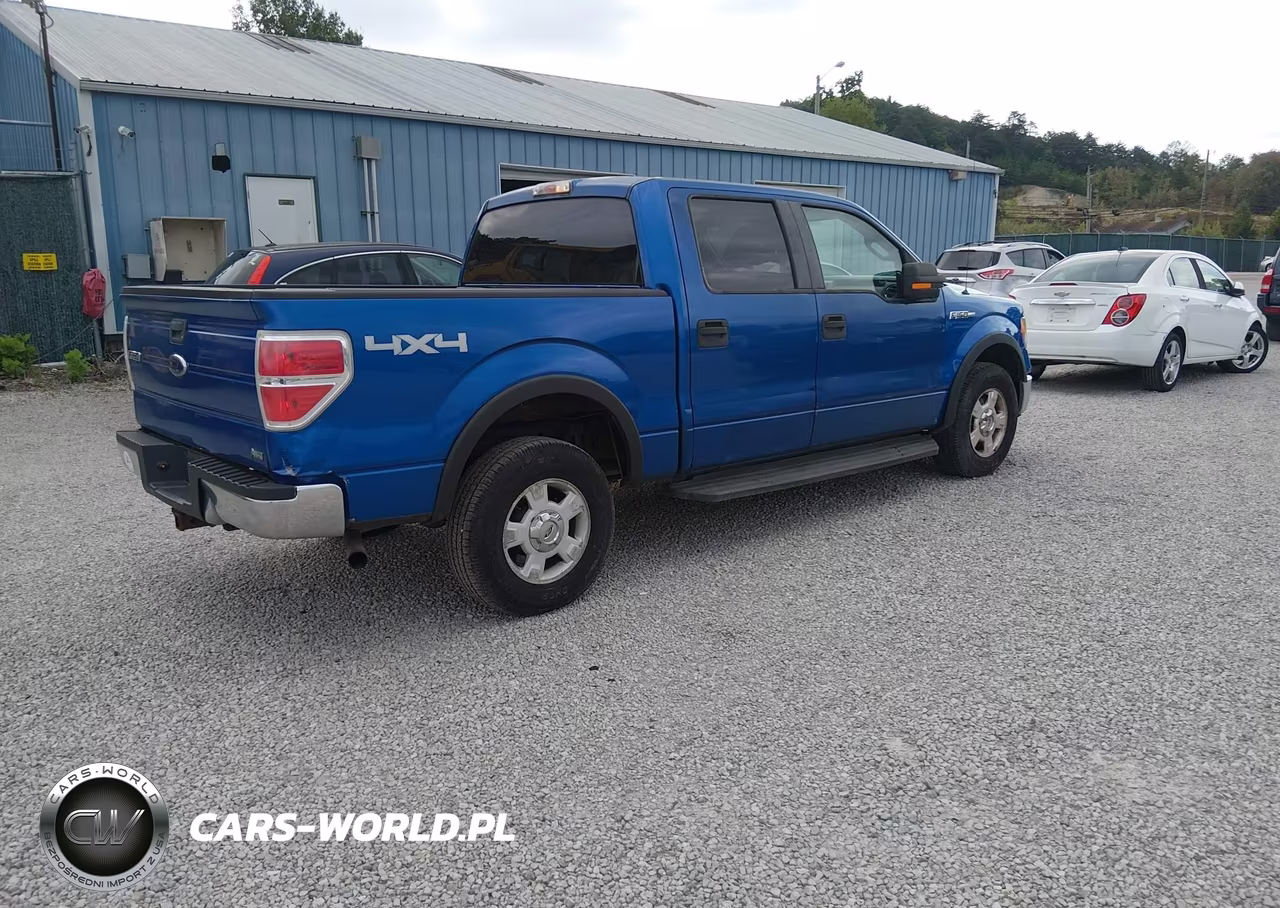 2010 Ford F-150 Fx4-Harley-Davidson-King Ranch-Lariat-Platinum-Xl-Xlt VIN:1FTFW1EVXAKB25449 - 4