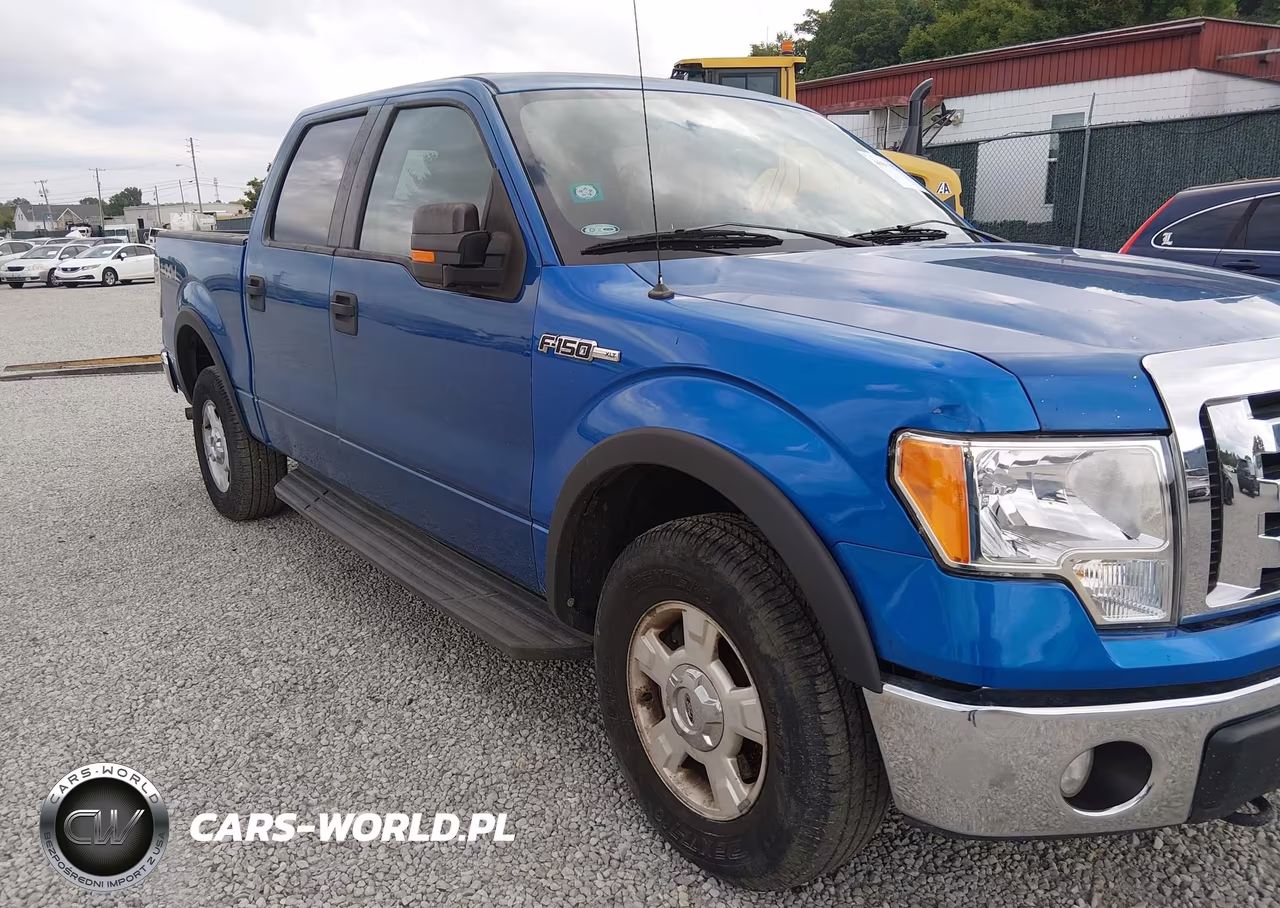 2010 Ford F-150 Fx4-Harley-Davidson-King Ranch-Lariat-Platinum-Xl-Xlt VIN:1FTFW1EVXAKB25449 - 6