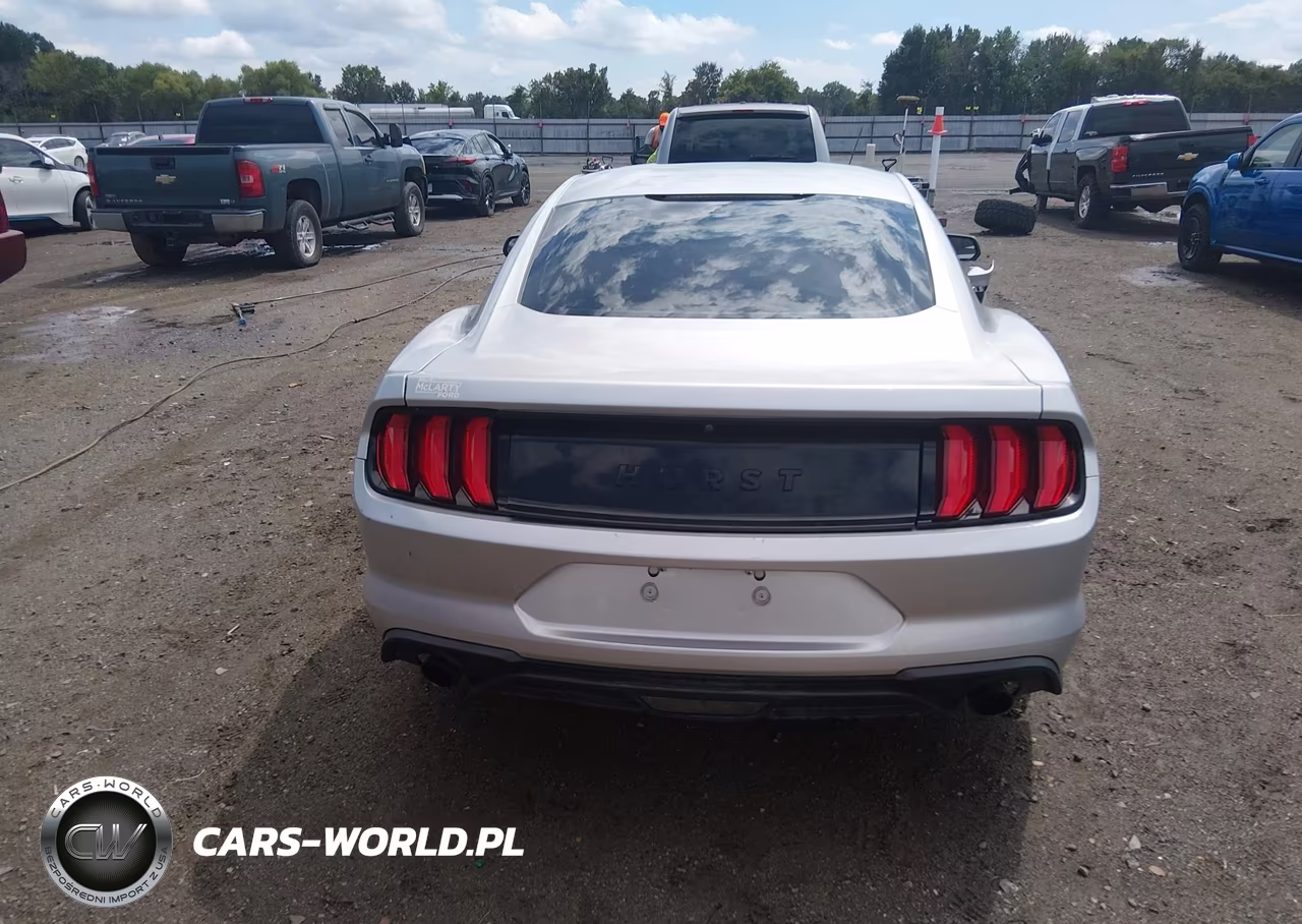 2018 Ford Mustang Ecoboost VIN:1FA6P8TH8J5118619 - 17