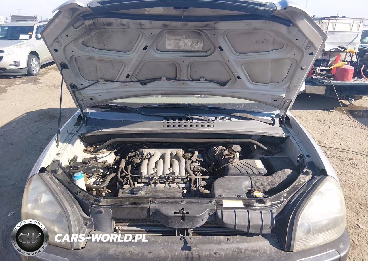 2005 Hyundai Tucson Gls-Lx VIN:KM8JN12D45U059706 - 10