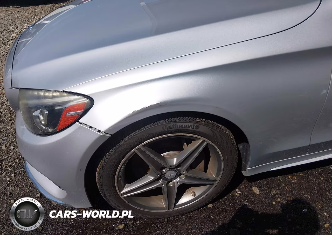 2016 Mercedes-Benz C 300 Sport 4Matic VIN:55SWF4KB3GU110100 - 6