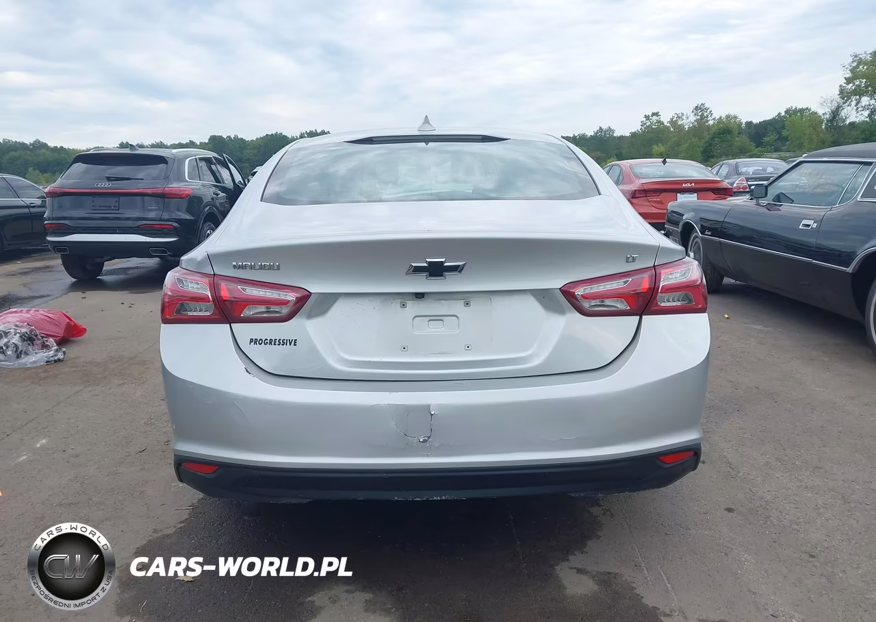 2019 Chevrolet Malibu Lt VIN:1G1ZD5ST0KF199768 - 17