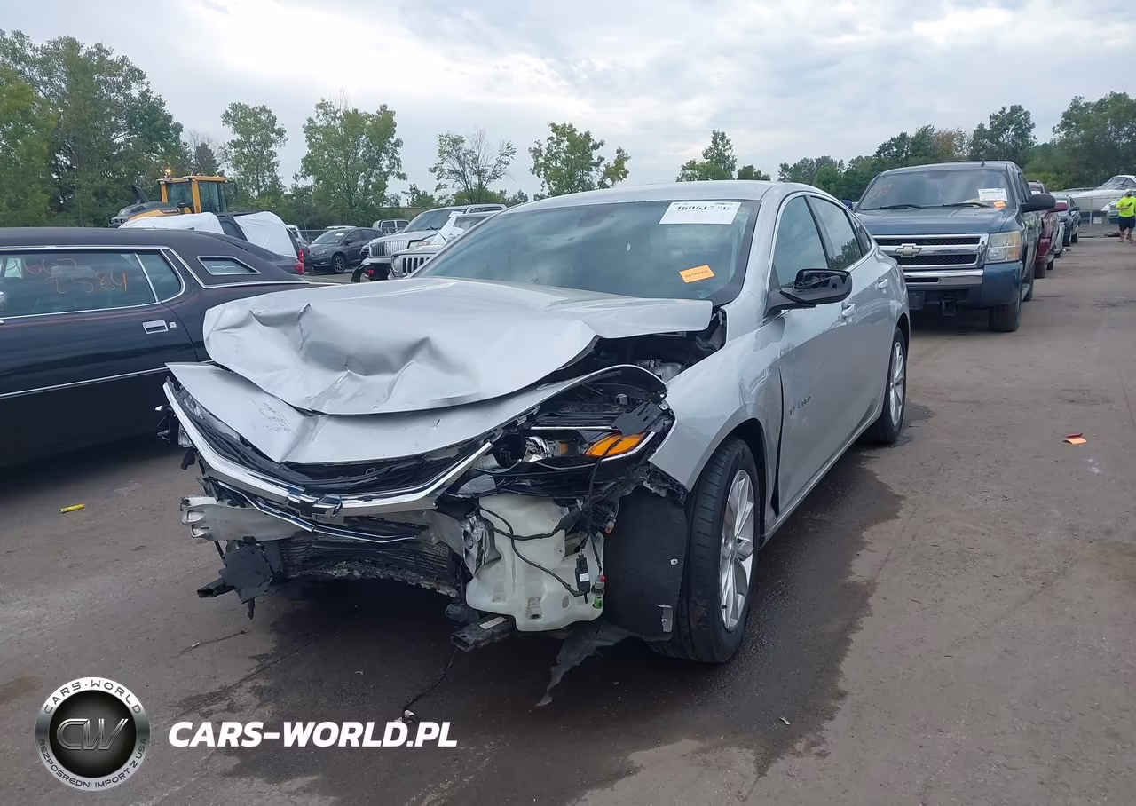 2019 Chevrolet Malibu Lt VIN:1G1ZD5ST0KF199768 - 2