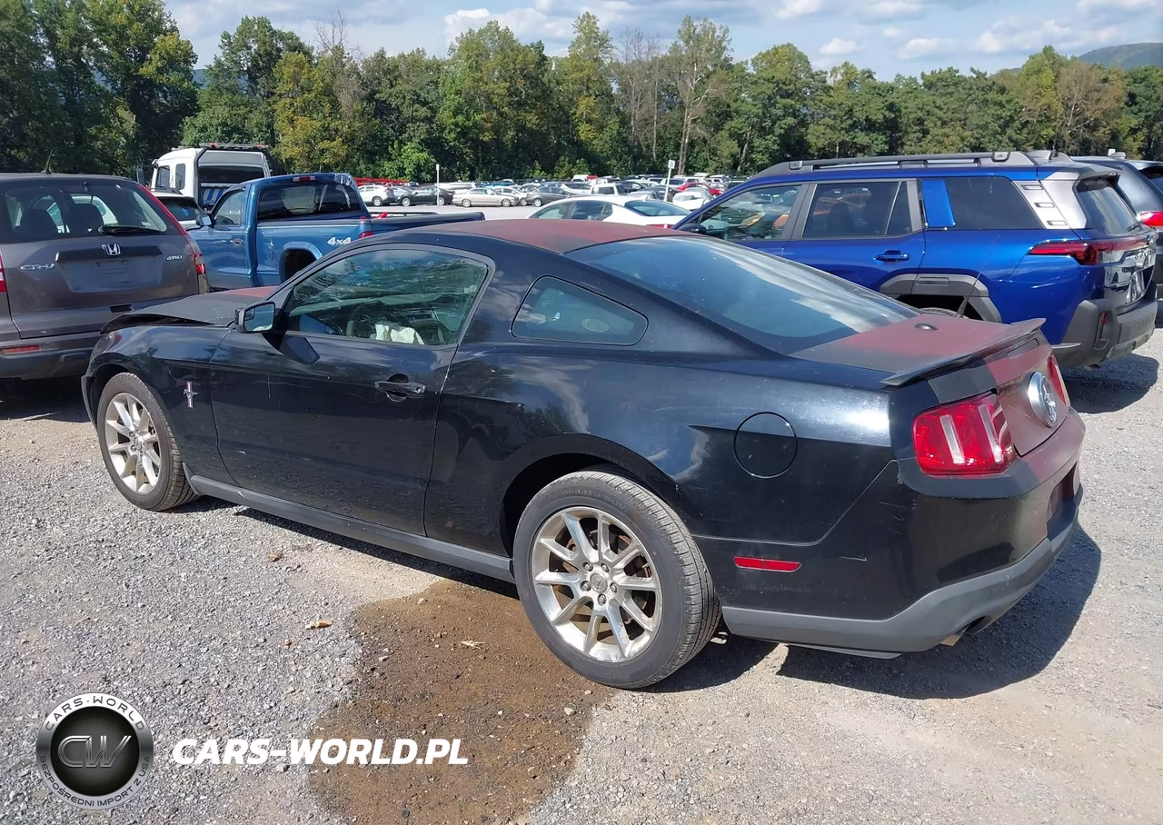 2011 Ford Mustang V6 Premium VIN:1ZVBP8AM5B5148765 - 3