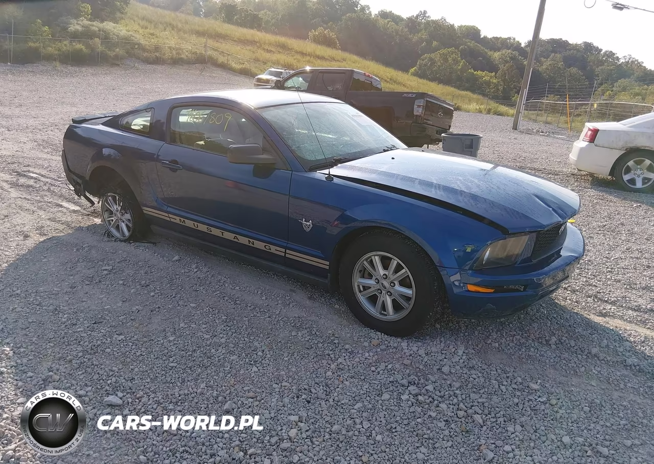 2009 Ford Mustang V6-V6 Premium