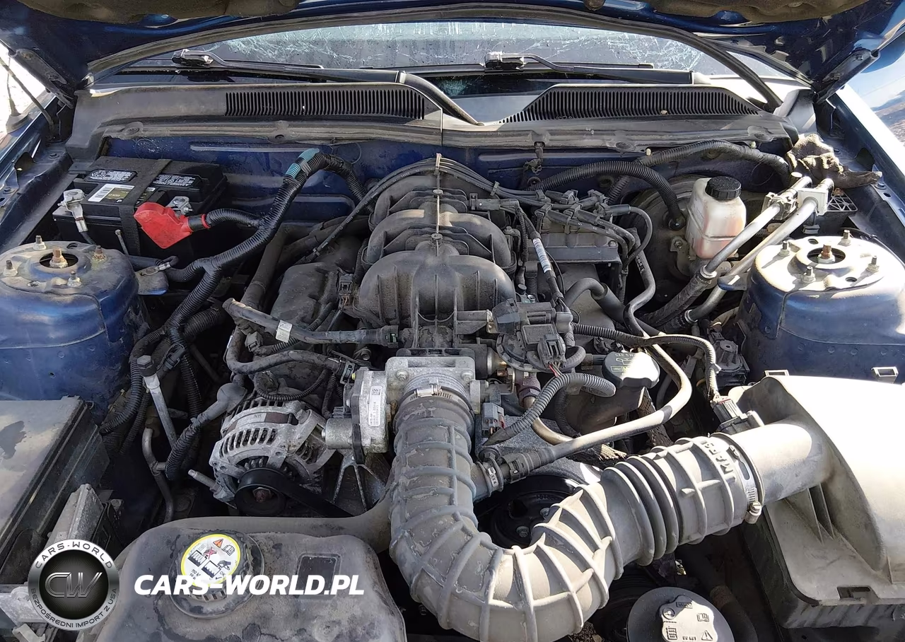 2009 Ford Mustang V6-V6 Premium VIN:1ZVHT80N695125263 - 10